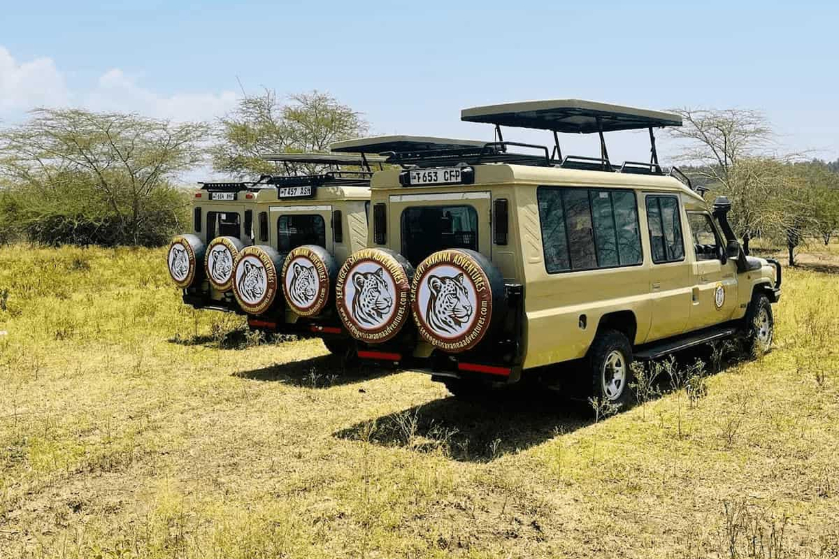 Safari Vehicle