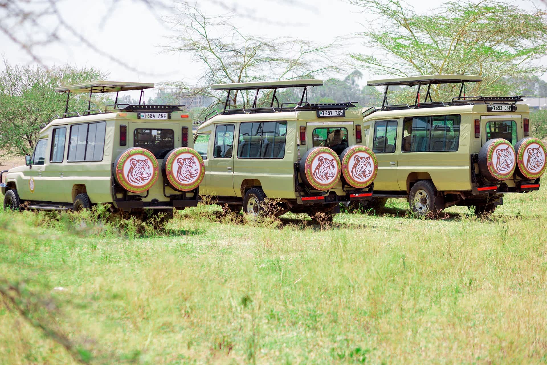 Safari Vehicle Image