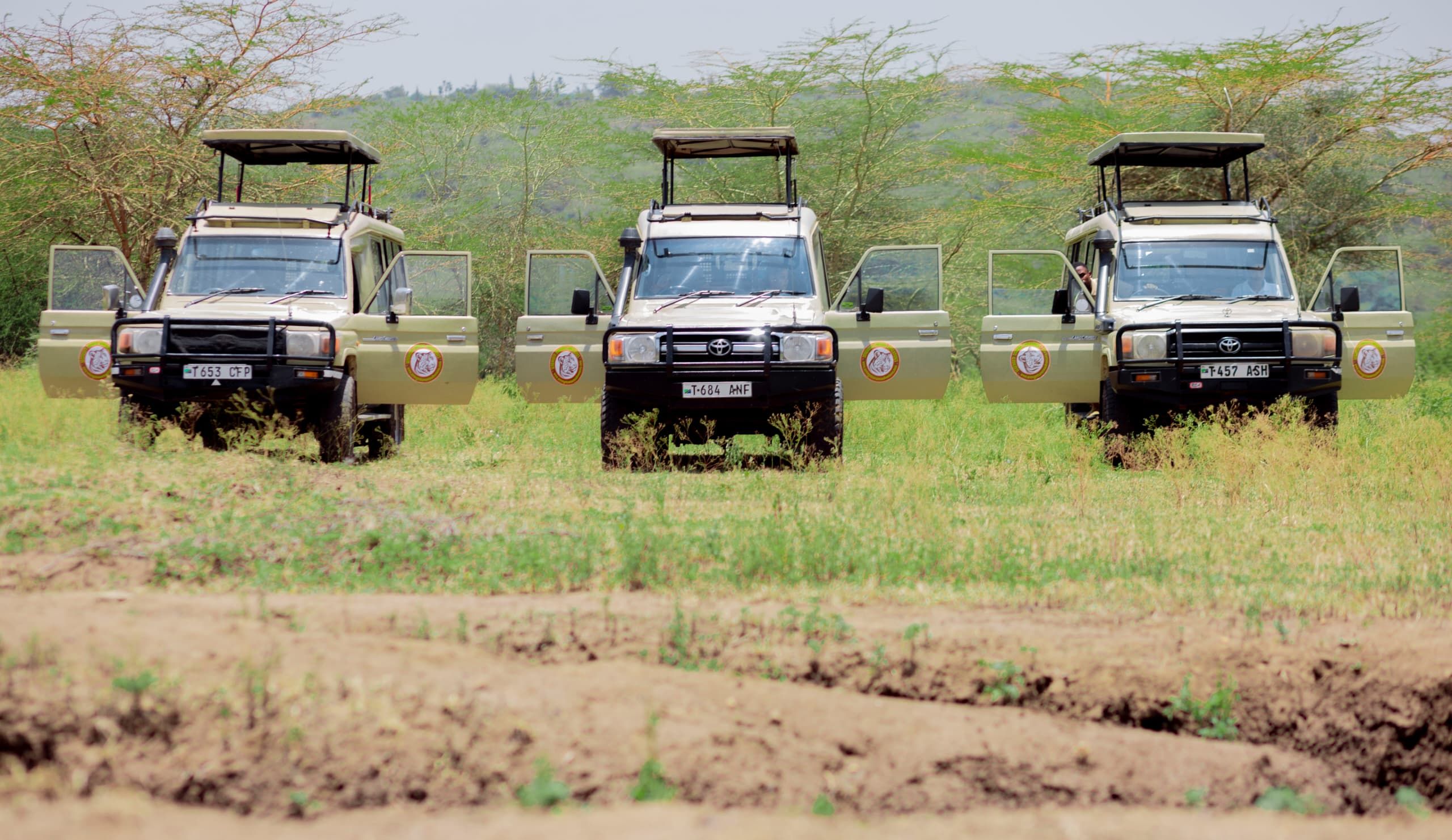 Safari Vehicle Interior